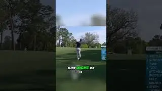 Amazing Golf Shot  Squeezing the Ball into a Narrow Opening #golfchat #worldclassgolf #golfswing