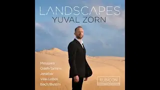 Yuval Zorn: LANDSCAPES