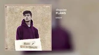 Flaws - Disguise
