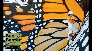Season 2; Episode 25: Walls That Speak: Inspiring Conservation Through Art