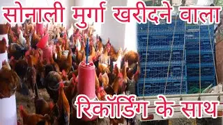 मिलिए सोनाली डीलर के साथ क्या रेट में खरीद रहे देख लो#sonalimurgidilar