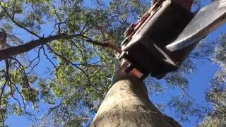 Tree felling earthmoving and excavations