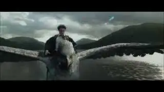 Harry Potter-Hero