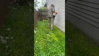 Hand me my weedeater&hellip; #greenindustry #landscaping #lawncare #satisfying #mowing #overgrown #stihl