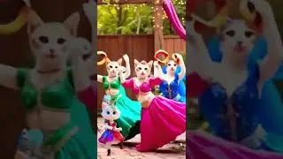 ohff what a dance. #cat #dance #shorts #animals
