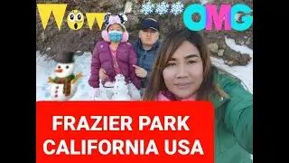 WINTER HIKE on a snowy mountain | Frazier Park California | Christmas hike 2021 Part I