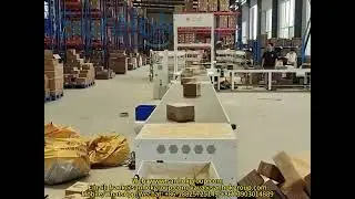 Automatic Sorting Line For Logistics System #sortingline #wheelsortingmachine #sorting #sortingrobot
