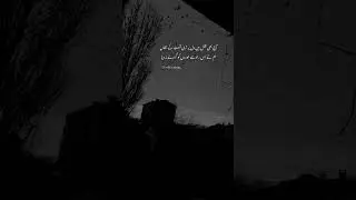 #poetry #shayari #urdupoetry #harrypotter #ghazals #urdusher #love #punjabipoetry #urdughazal #sad