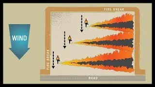 Prescribed Fire Ignition Techniques - Heading/Strip Head Fire