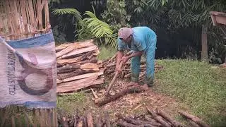 Axe Mastery: Splitting Firewood the Traditional Way _FarmersLife _Shorts