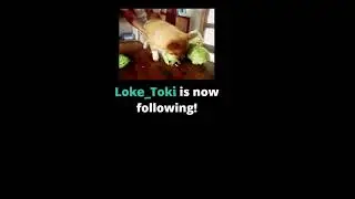 Twitch Follow Sound