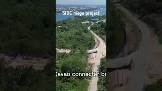 Samal Island Davao connector bridge project #davao #samalisland #bridge