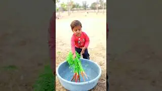 Rudra ne Cow 🐮 ko carrot khilaya #shorts #cow #carrot #trending