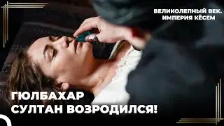 Большой План Для Матери Шахзаде Баейзида | Великолепный век. Империя Кёсем