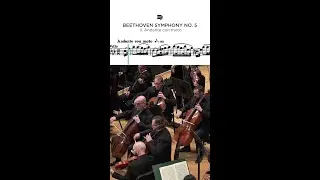 Beethoven Symphony No. 5: Cello Excerpt