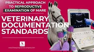 Veterinary Documentation Standards: Consistent Reproductive Scoring in Equine Practice