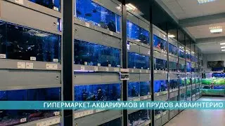 #зоо #ташкент  Зоомагазин в городе Ташкент
