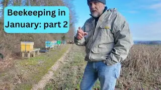 Beekeeping in January part 2