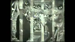 Mr Tamborine Man, Feel A Whole Lot Better & All I Really Wanna Do (The Byrds)