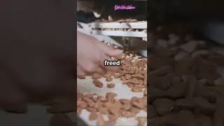 Peanut Butter How its actually made  #shortsvideo #food #foodie #foodstagram #shorts