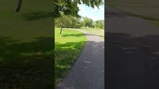 A walk around Cottonwood Park.  @TruckerMFer