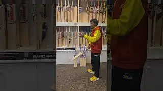 SS CHAMPION English Willow Cricket Bats Available at CricketMerchant LLC #cricket