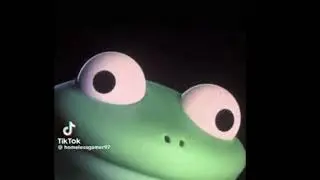 When You Discover www.Gembui.com 🦎✨ #lizard