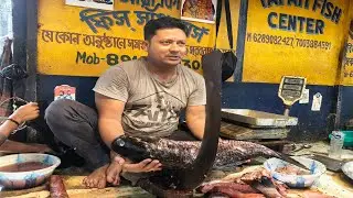 The Art of Rohu Fish Cutting: A Masterclass in Culinary Precision