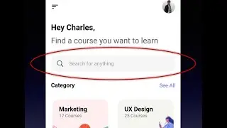 Text Field Widget