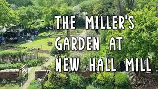 The Miller's Garden at New Hall Watermill 2025