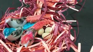 Paper Bird nest🐦| easy origami |