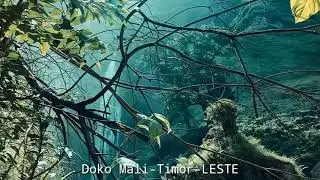 Doko Mali