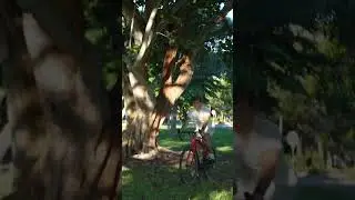 🚴&zwj;♂️ UrbanCross: Ride smarter, ride lighter.