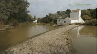 Descubrir los molinos harineros, Alcalá de Guadaíra, Sevilla