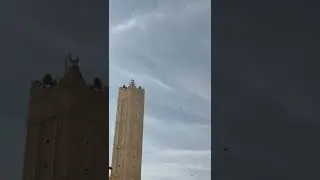 أذان العصر || 1447/8/4هـ || صالح السهلي