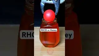 RHCB vs Honey 🍯😱 #rhcb #satisfying #experiment #science #asmr