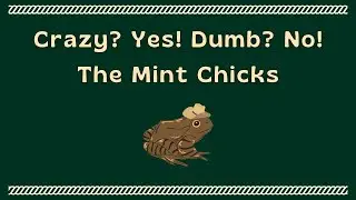 The Mint Chicks &ndash; Crazy? Yes! Dumb? No! (Karaoke)