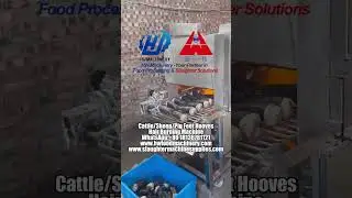 Cattle, Sheep & Pig Hooves Hair Burning Machine | HW Machinery Abattoir & Meat Processing Solutions