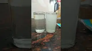 Fevicol and salt water experiment | #shortvideo #youtubeshorts #vairalvideo #shorts