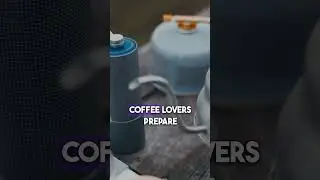 Discover the Blue Mountains' Coffee in Jamaica