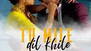 Tu Mile Dil Khile Aur Jeene #Criminal Movie Song #Manisha Koirala Nagarjuna Evergreen Romantic Hits