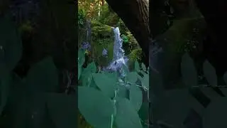 Waterfall #nature #foryou #hashtag