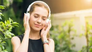 Indian Flute Background Music | Relaxing Flute music | Free music and no copyright music | watch now