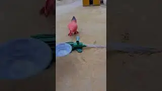diy mini hand pump stand making with concrete mixer science project