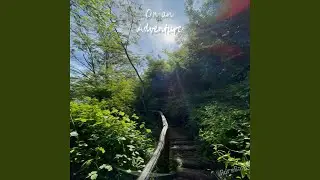 On an Adventure