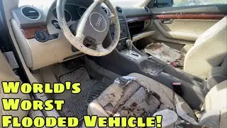 My Last Walk Around Video! IAA Walk Around 9/19/23