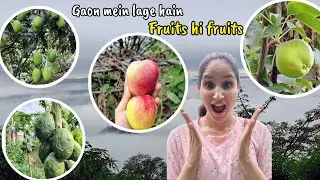 Gaon Mein Lage Hain Fruits Hi Fruits 🍎🥭 🍐| Village Life Vlog | Nature Beauty & Organic Farming