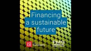 The role of bank capital requirements in addressing climate change