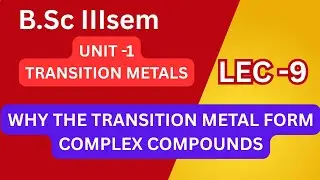 B.Sc. 3rd Sem &ndash; Why Transition Metals Form Complexes | Coordination Chemistry
