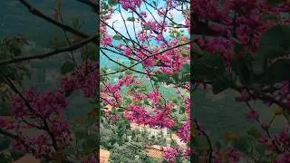 San Marino - small state, big heart #citybreaks #sanmarino #italytravel #vacationplanning #roadtrip